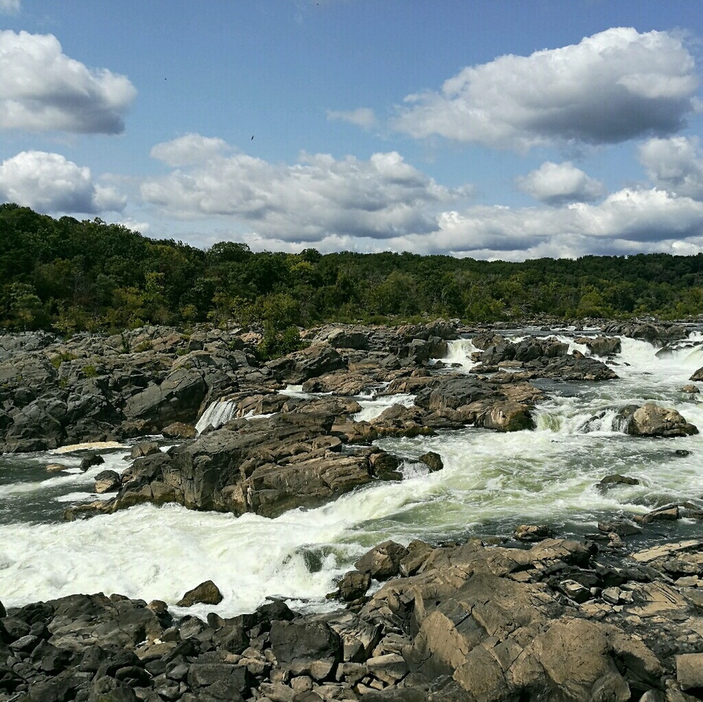 Meet your Posher, Tai