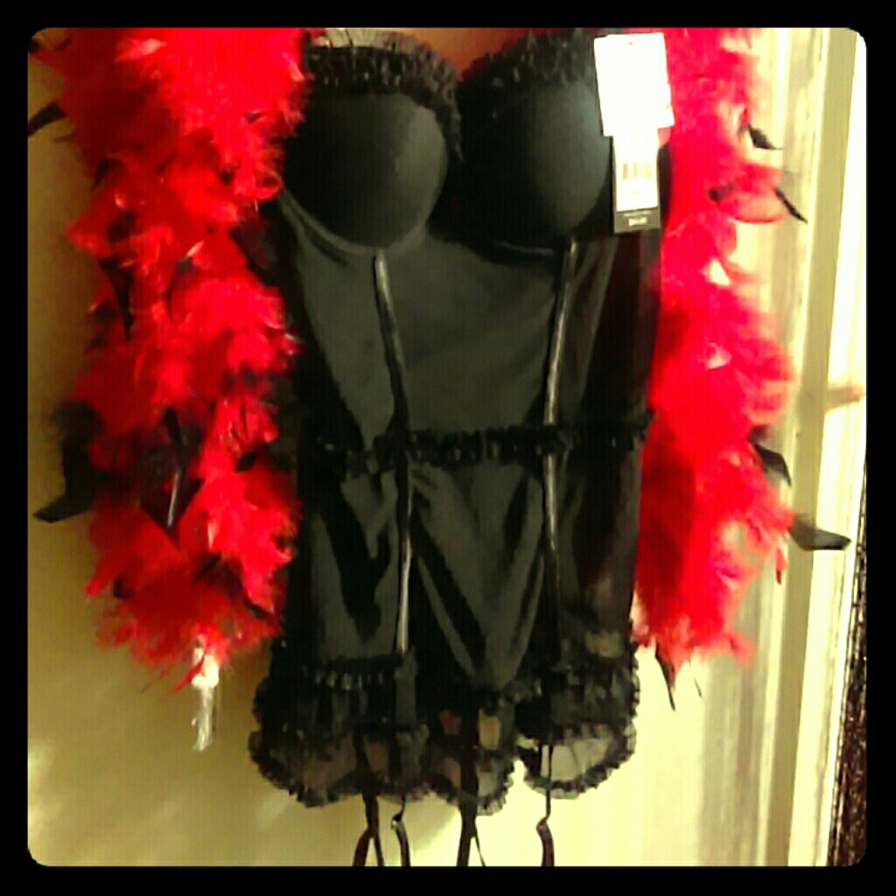 Sexy sheer black bustier with removable garters