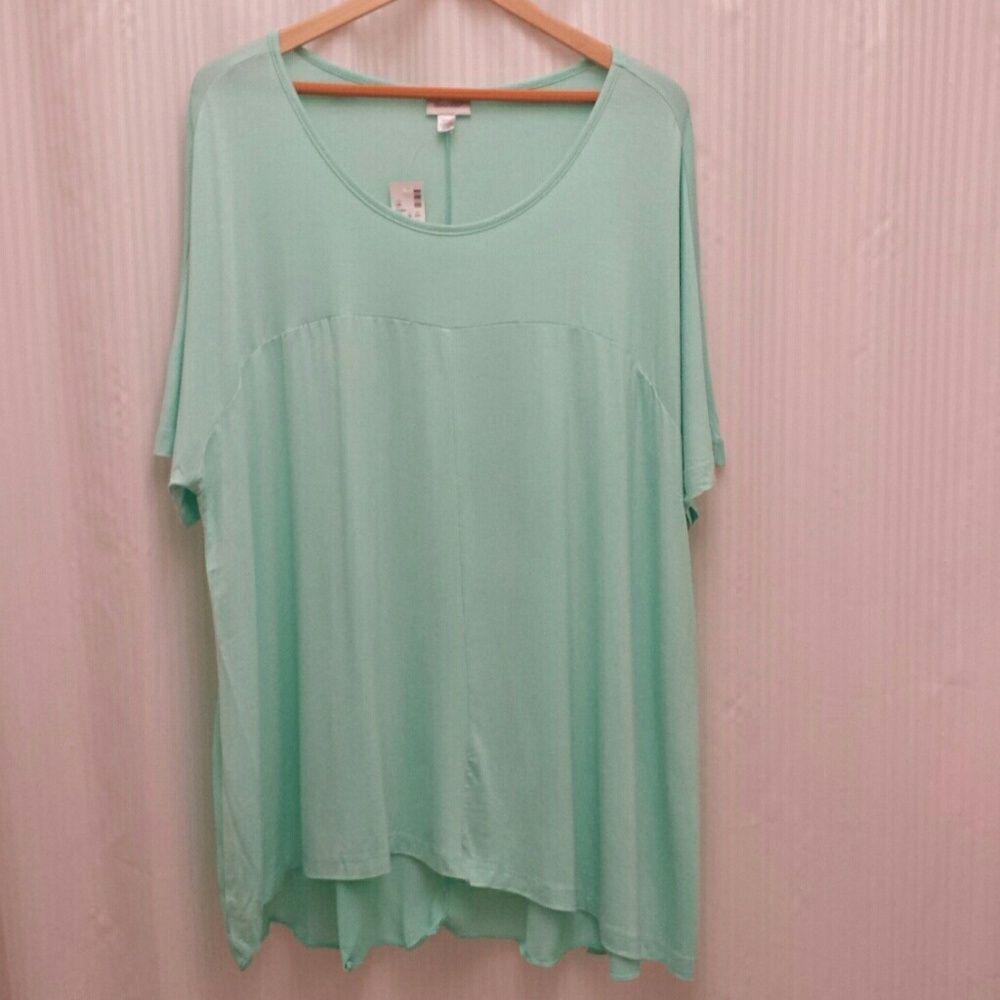Light aqua top with sheer back