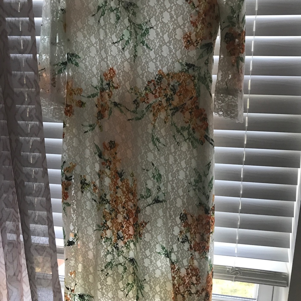 Beautiful Eva Mendes net dress