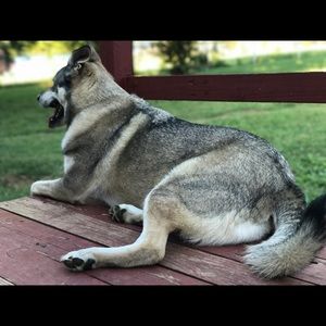 Meet your Posher, Lara