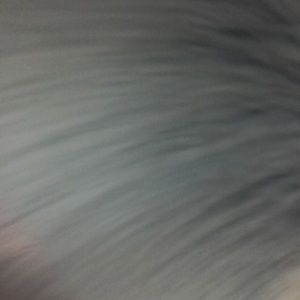 Meet your Posher, Ali