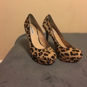 Steve Madden cheetah print