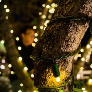 Meet your Posher, Shawn