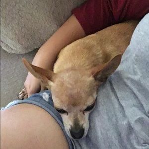 Meet your Posher, May