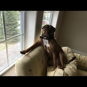 Meet your Posher, Daryl