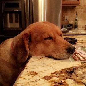 Meet your Posher, Helen