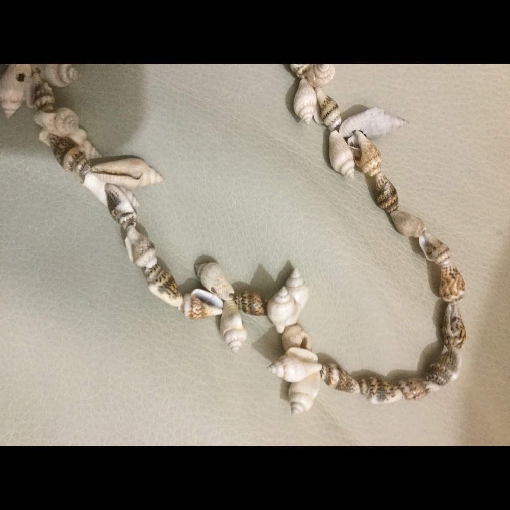 sea shell necklace