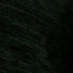 Meet your Posher, Tori