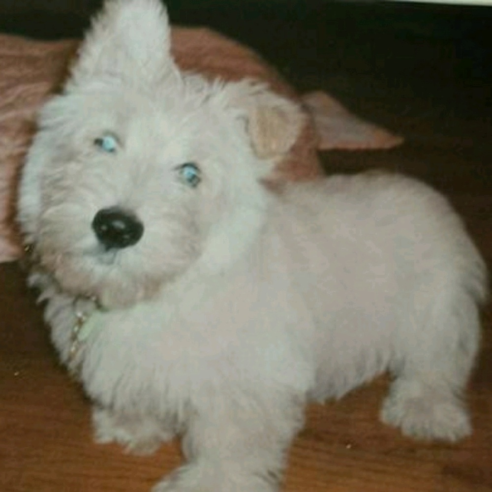 Meet your Posher, Tuwanna