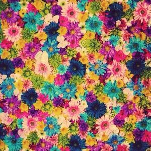 Meet your Posher, Amayrani