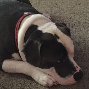 Meet your Posher, Charmaine