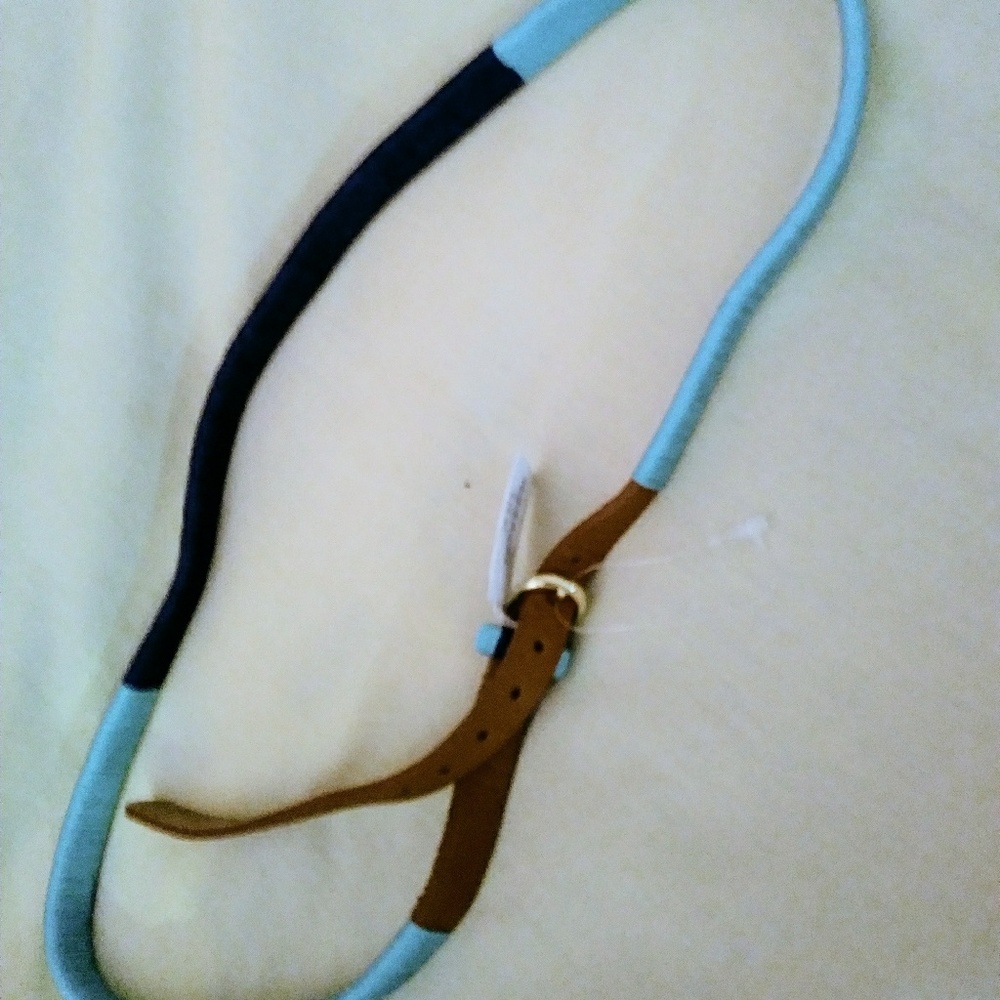 J. Crew belt