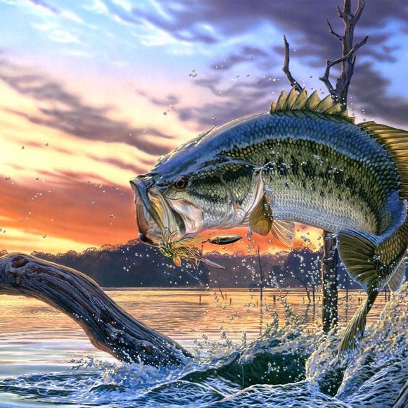 Meet your Posher, Grant - Picture 1 of 1