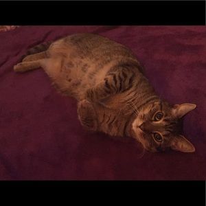 Meet your Posher, Mike