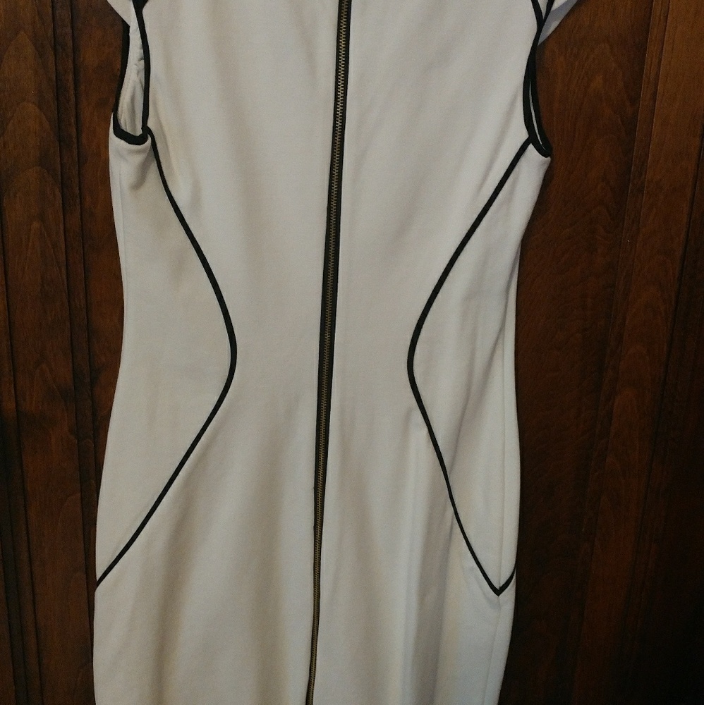 Express Dress - Picture 2 of 2