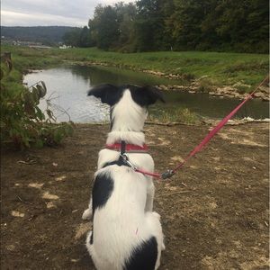 Meet your Posher, Morgan