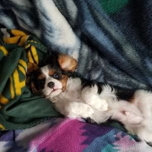 Meet your Posher, Vicky