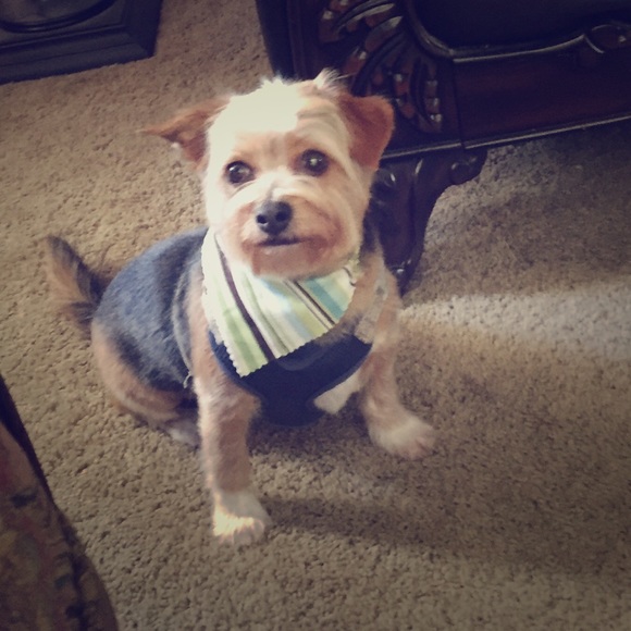 Jennifer ~ Posh Ambassador! βΊοΈβ€οΈππ - Picture 4 of 5