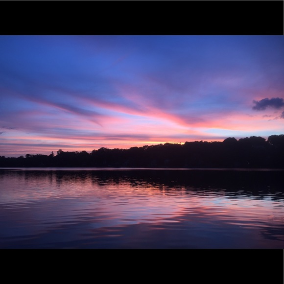 Meet your Posher, Abby - Picture 1 of 1