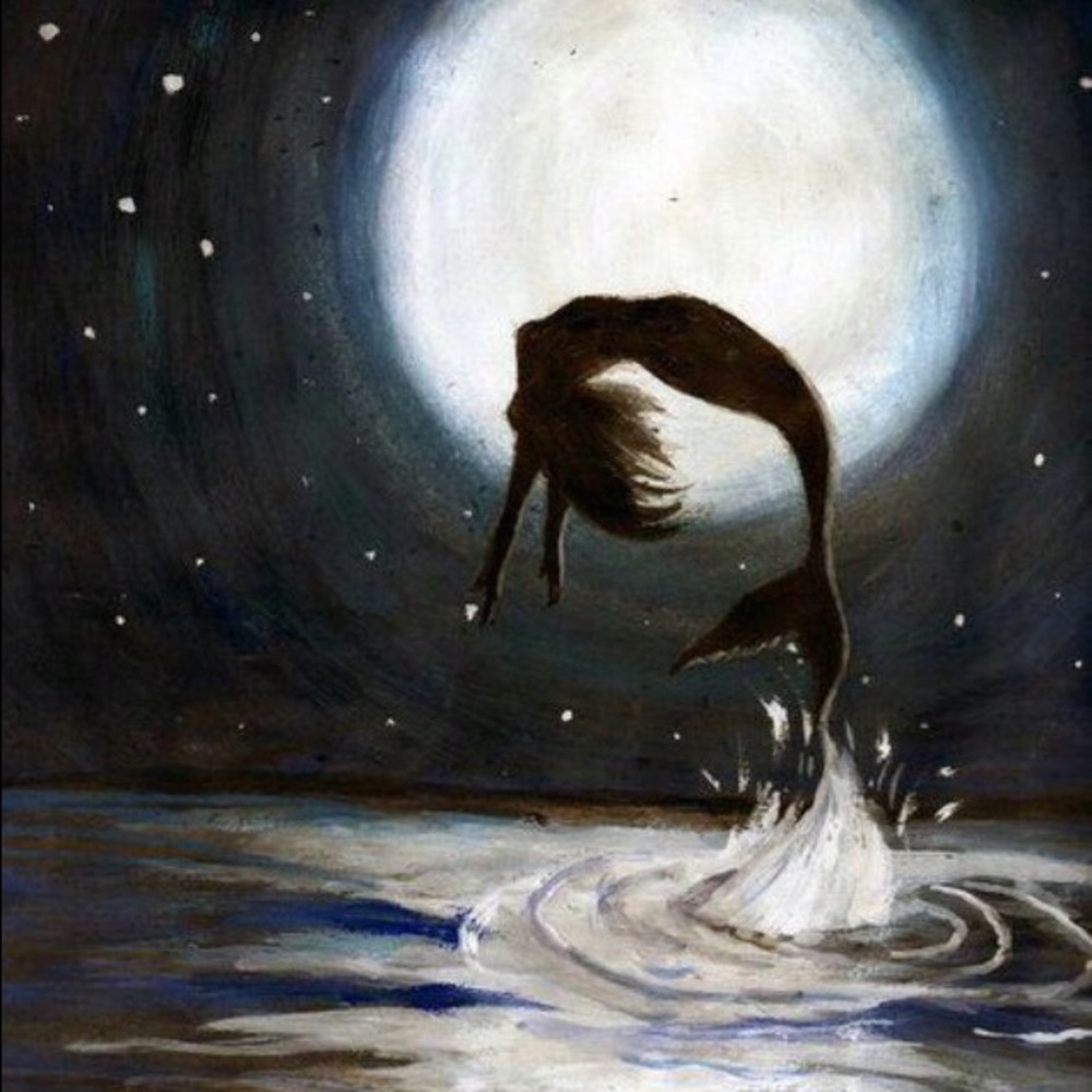 Meet your Posher, Erica