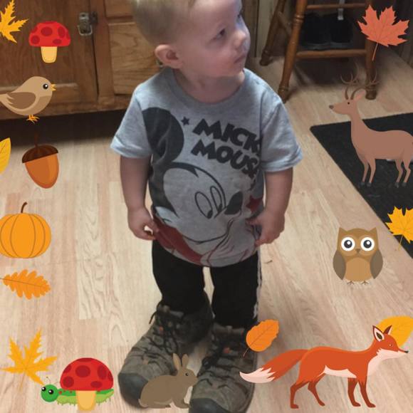 Meet your Posher, Holly - Picture 1 of 1