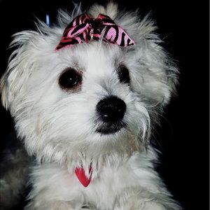 Meet your Posher, Leticia