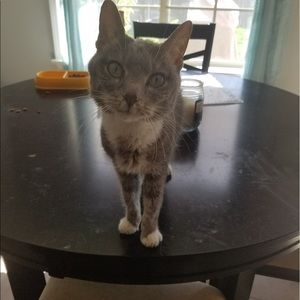 Meet your Posher, Sheila