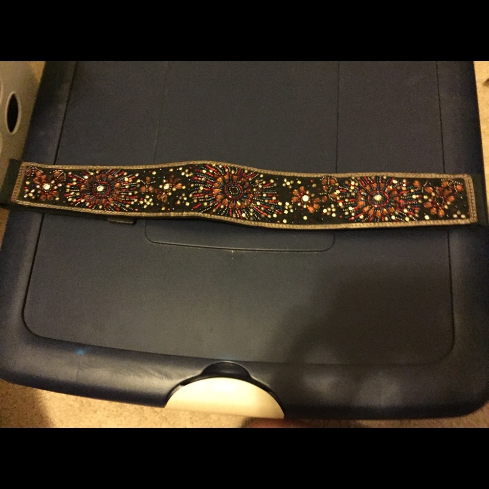 Anthropologie belt