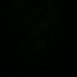 Meet your Posher, Shane