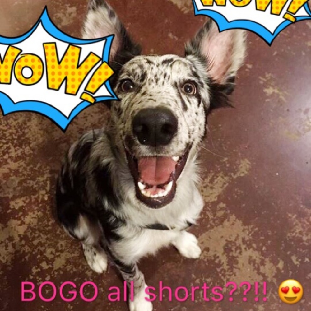 BOGO ALL SHORTS 🌞🎉