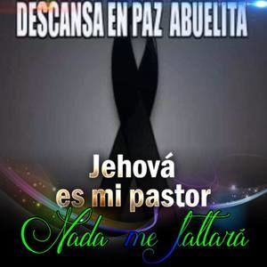 Meet your Posher, Nora