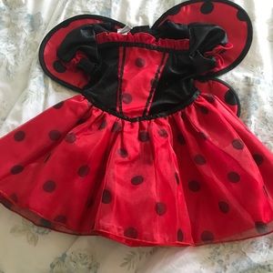 Baby Girls ladybug costume 6/9 month