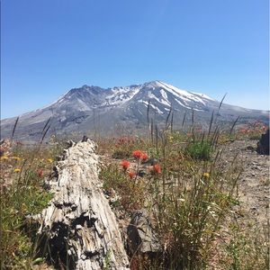 Meet your Posher, Heaven