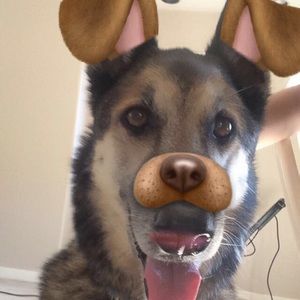 Meet your Posher, Katy