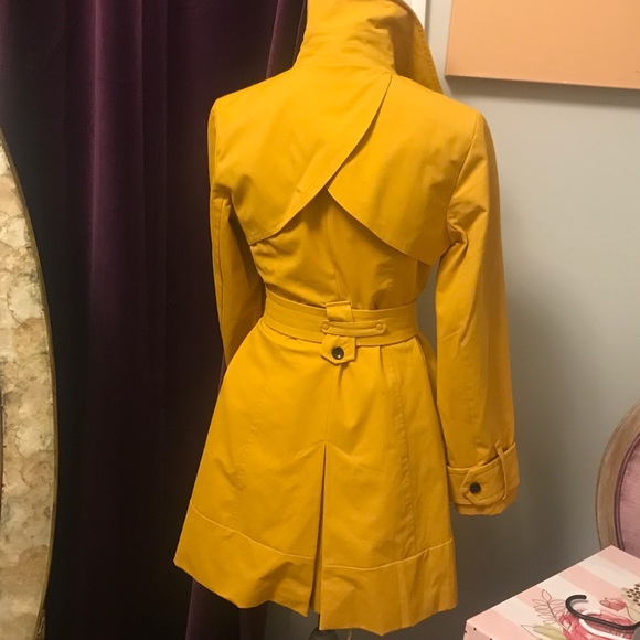 Jacket - Picture 4 of 4