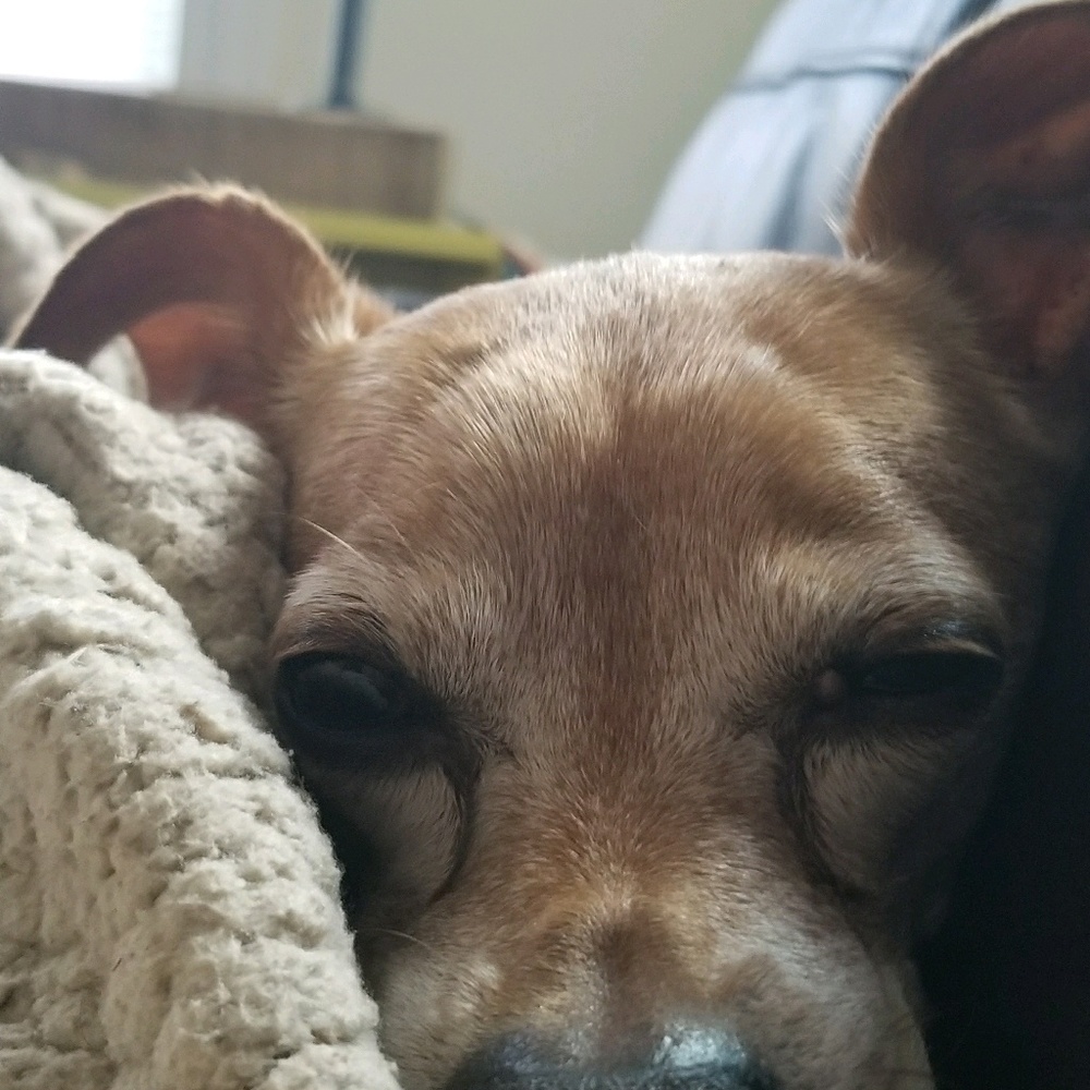 Meet your Posher, Anna