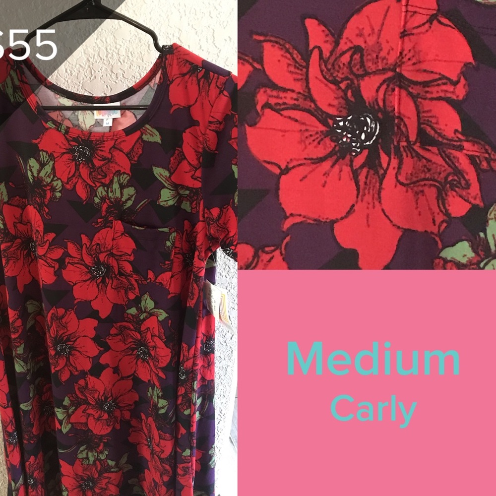 New with tags LLR Carly dress