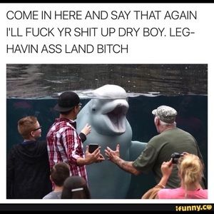 Meet your Posher, Gerardo