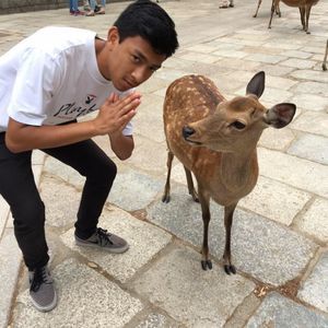 Meet your Posher, Ryan