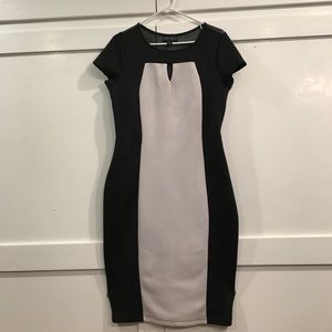 Plus Size 1X Body Con Color Block dress