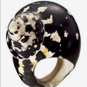 Giant Spiral Shell Ring
