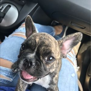 Meet your Posher, Marcela