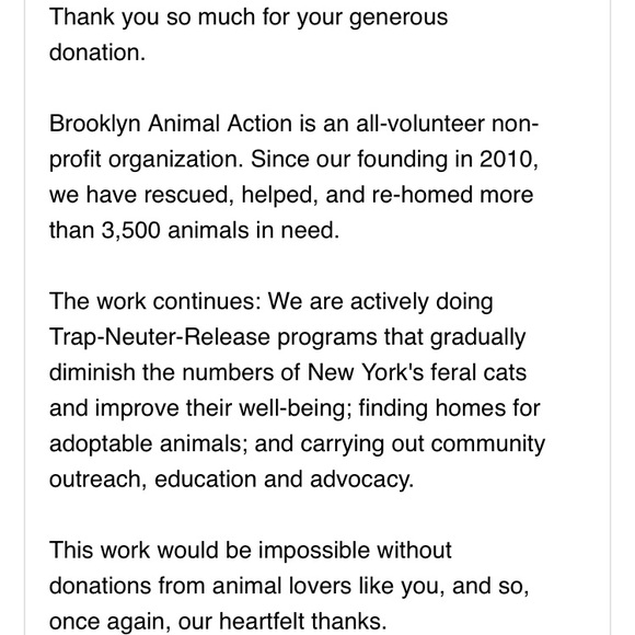 100% + of Sunday Sales to Brooklyn Animal Action - Picture 3 of 4