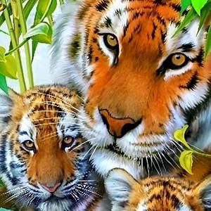 Meet your Posher, Deanna