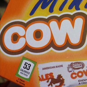 Meet your Posher, Elaine hilliard