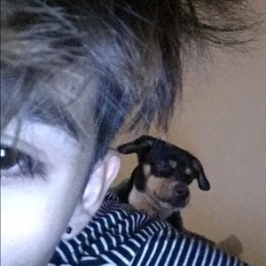 Meet your Posher, Adam