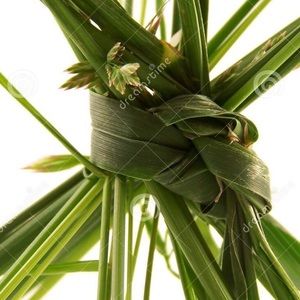 Meet your Posher, Henry