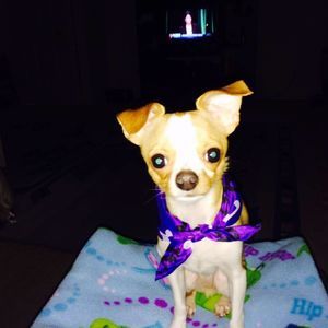 Meet your Posher, Kathy