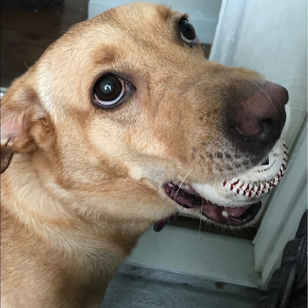 Meet your Posher, Allison